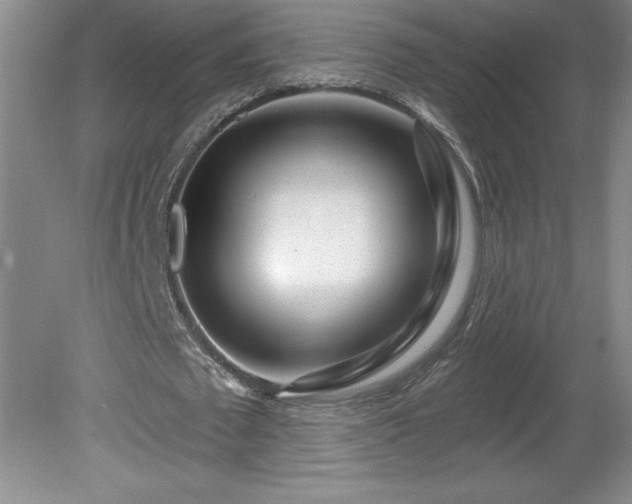 X0000081560673200701221028