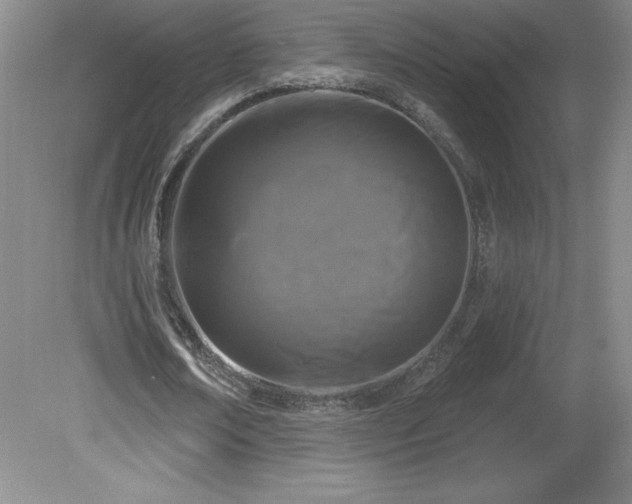 X0000081560674200701221027