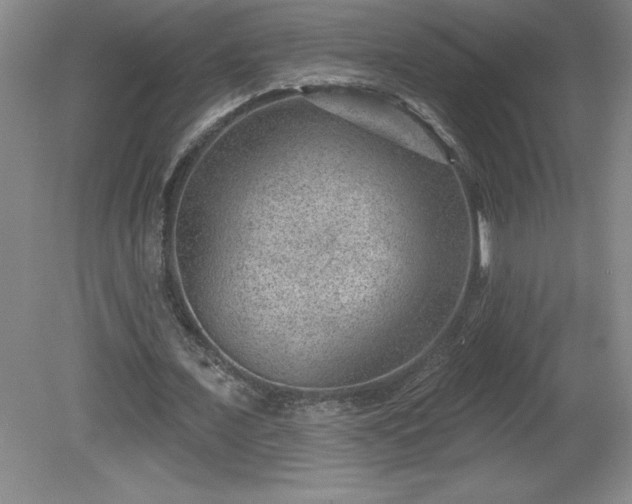 X0000081560675200701221027