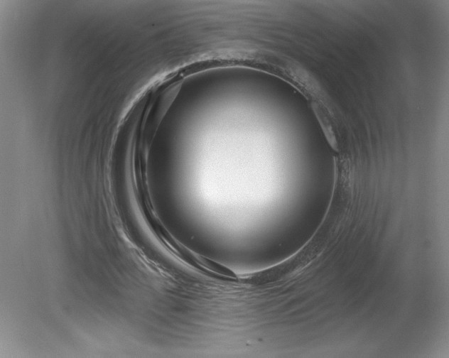 X0000081560676200701221027