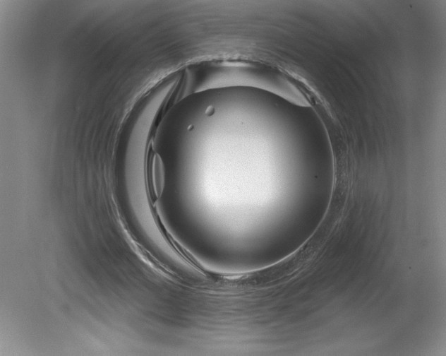 X0000081560677200701221027