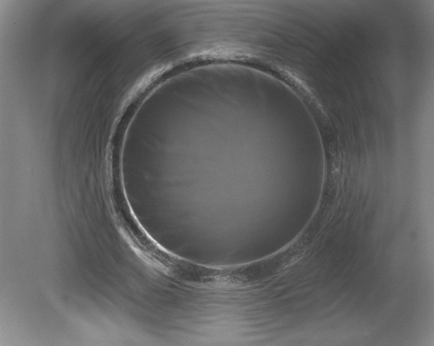 X0000081560678200701221027