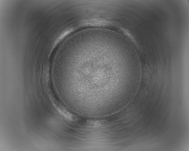 X0000081560679200701221027