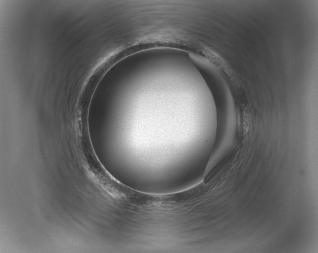 X0000081560680200701221027