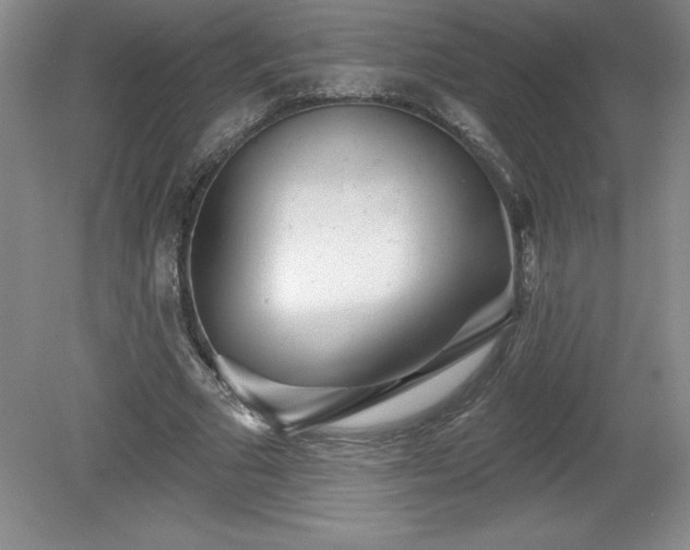 X0000081560681200701221027