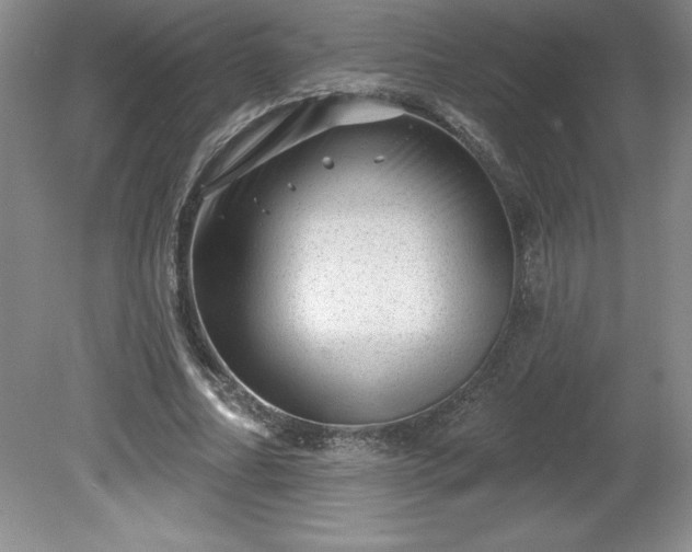 X0000081560682200701221027