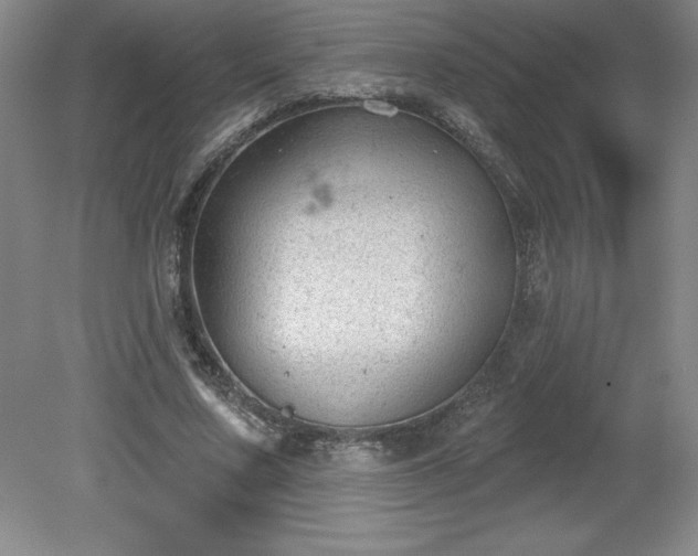 X0000081560683200701221027