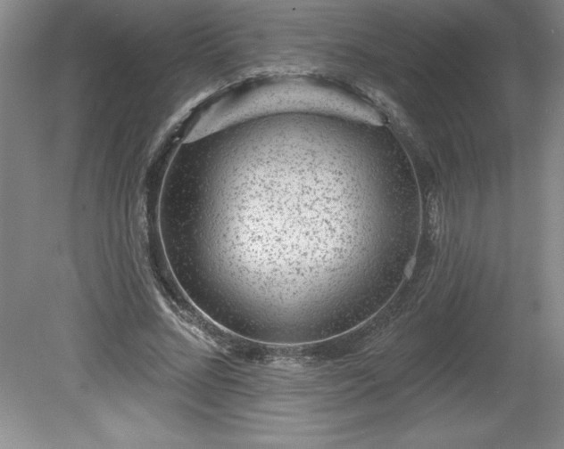 X0000081560684200701221027