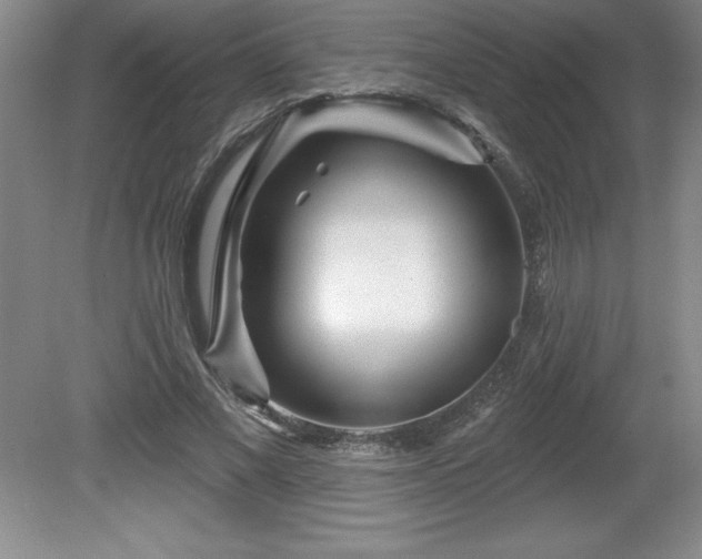 X0000081560685200701221027