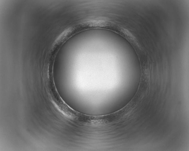 X0000081560686200701221027