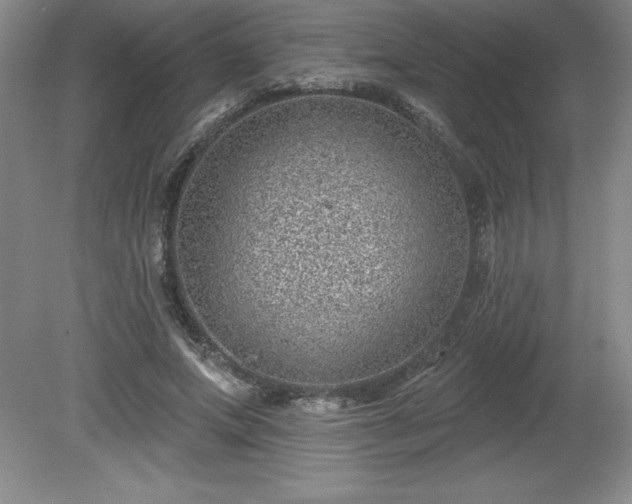 X0000081560687200701221027