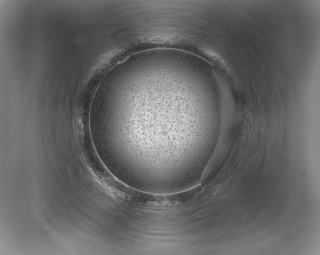 X0000081560688200701221027