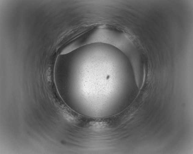 X0000081560689200701221027