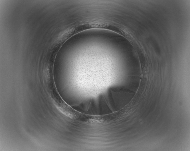 X0000081560690200701221027