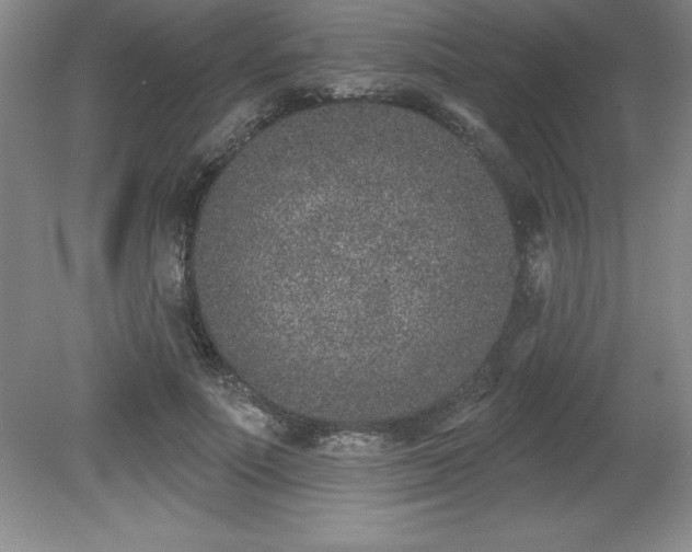 X0000081560691200701221027