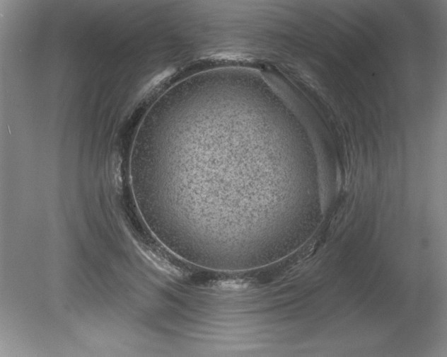 X0000081560692200701221027