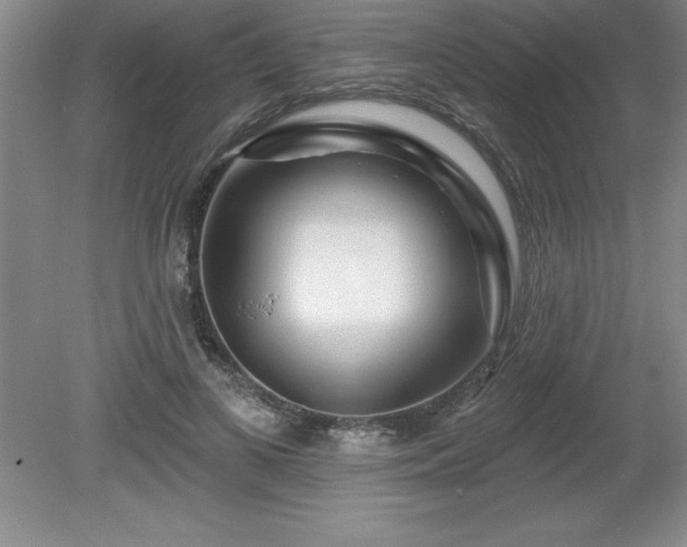 X0000081560693200701221027