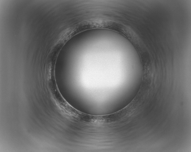 X0000081560694200701221027