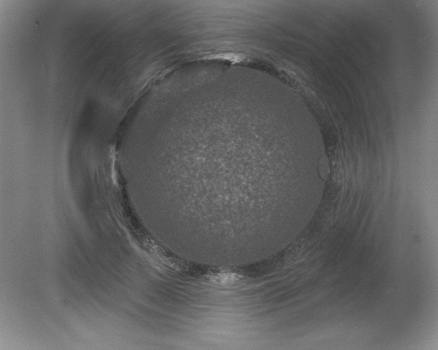 X0000081560695200701221027