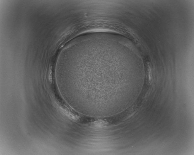 X0000081560696200701221027