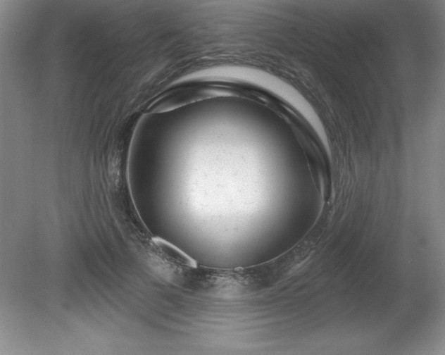 X0000081560697200701221027