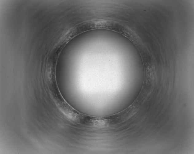 X0000081560698200701221027