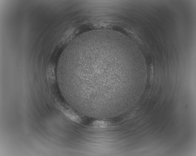 X0000081560699200701221027