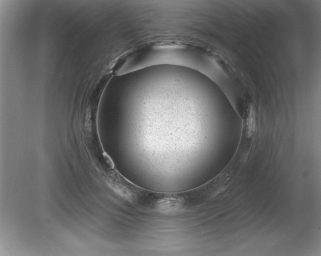 X0000081560700200701221027