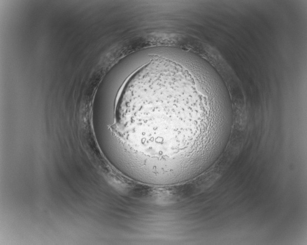 X0000081560701200701221027