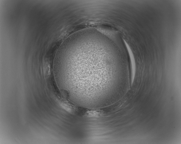 X0000081560703200701221027