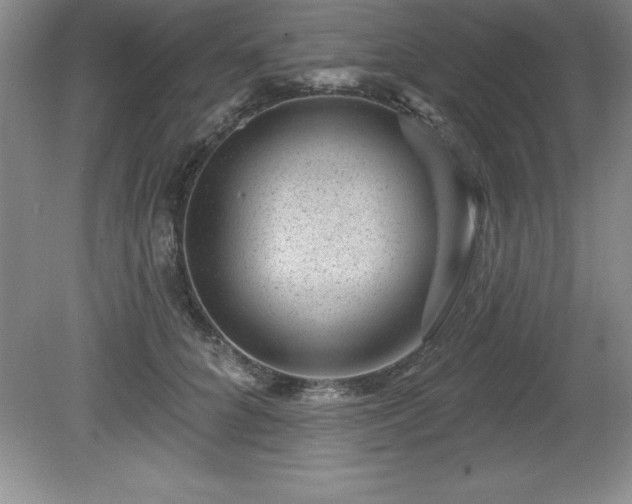 X0000081560704200701221027