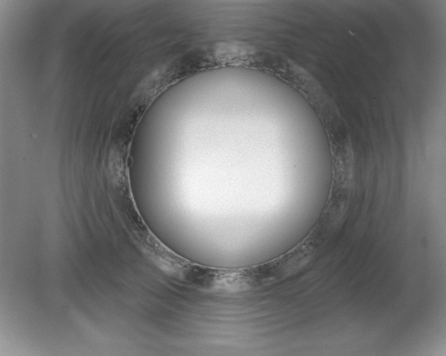 X0000081560705200701221027