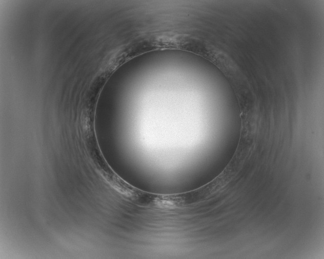 X0000081560706200701221027