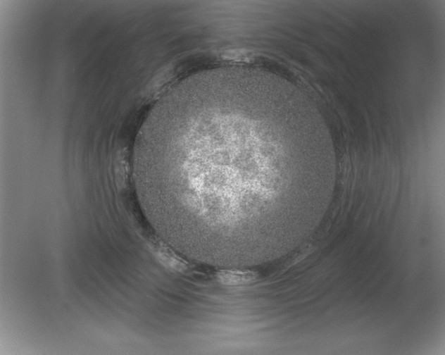 X0000081560707200701221027