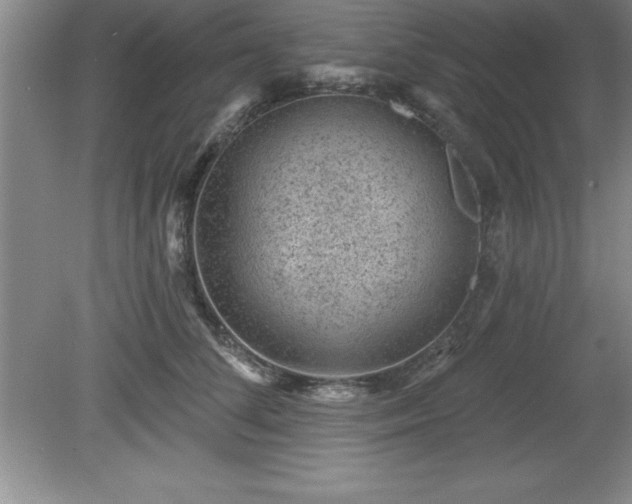 X0000081560708200701221027