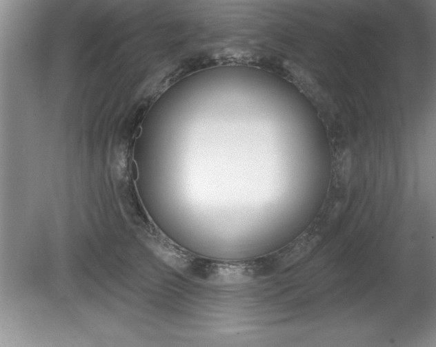 X0000081560709200701221027