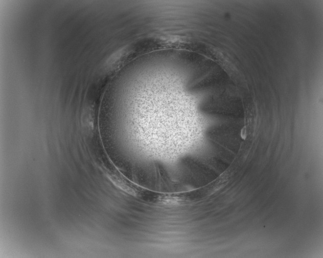 X0000081560710200701221027