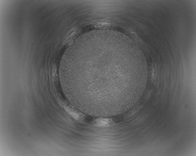 X0000081560711200701221027