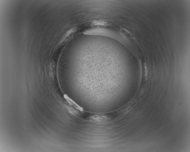 X0000081560712200701221027