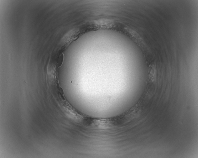 X0000081560713200701221027