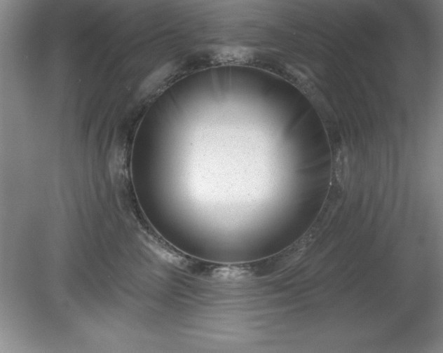 X0000081560714200701221027