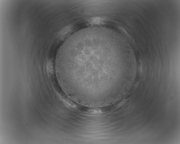 X0000081560715200701221027