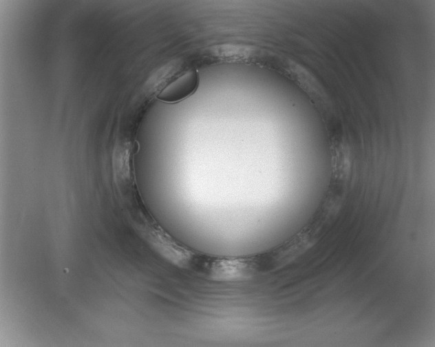 X0000081560717200701221027