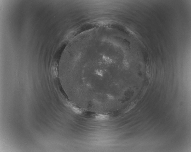 X0000081560718200701221027