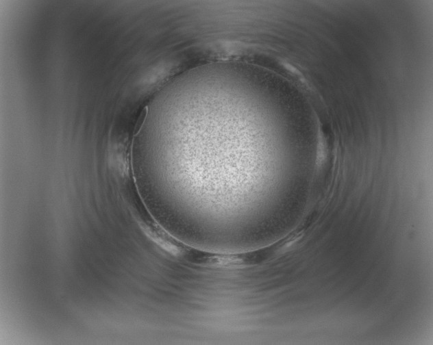 X0000081560719200701221027