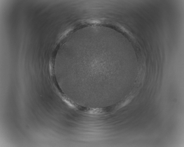 X0000081560720200701221027