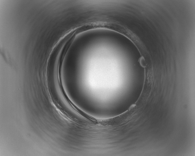 X0000081560722200701221026