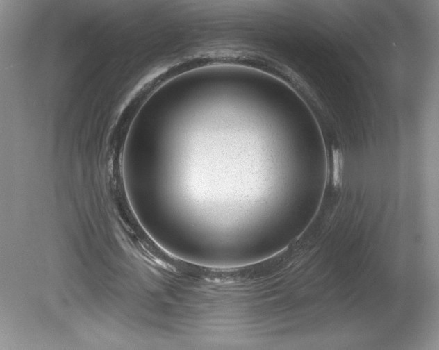 X0000081560723200701221026