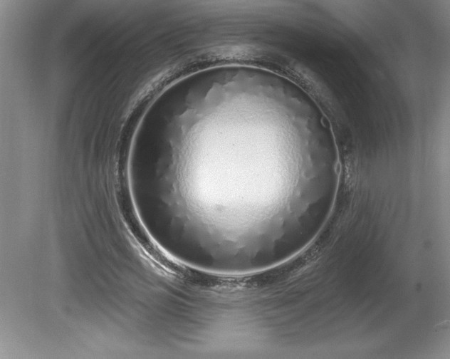 X0000081560725200701221026