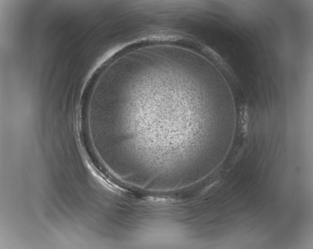 X0000081560726200701221026